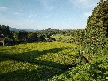 能登地区農業インターンシップ研修　世界農業遺産にも認定されている「能登の里山里海」で農業を体験してみませんか？-1