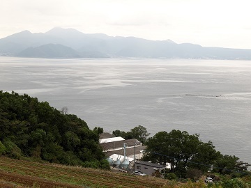 株式会社濵田ファーム-6