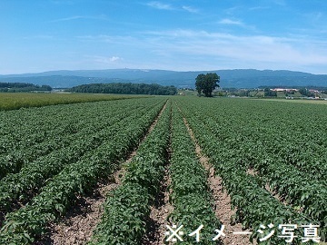 島農園-top