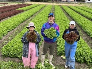 いなます農園-top