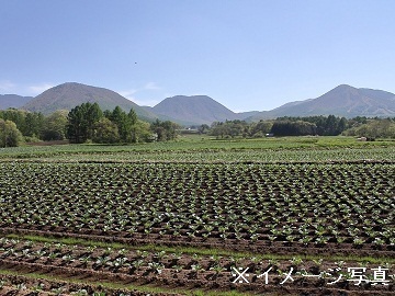 秋田県湯沢市×稲作・果樹・種苗/法人【37651】-2