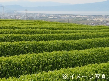鹿児島県霧島市×お茶/法人【37686】-2
