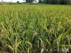 三重県菰野町×稲作・畑作/法人【37687】-top