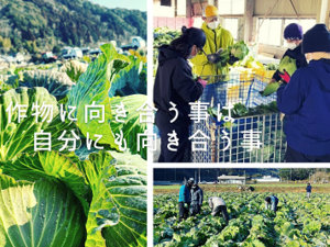 大分県国東市×稲作・露地野菜/法人【38946】-top