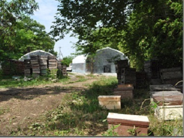 有限会社俵養蜂場-1