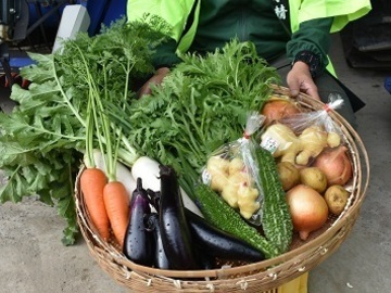 株式会社ファーム木精(こだま)-3