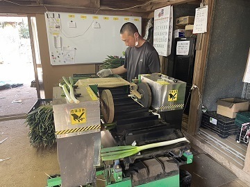 千葉県香取市×露地野菜/個人【43158】-1