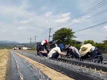 株式会社丸筑農園-6