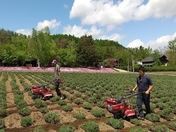 有限会社ファーム富田【正社員】-4
