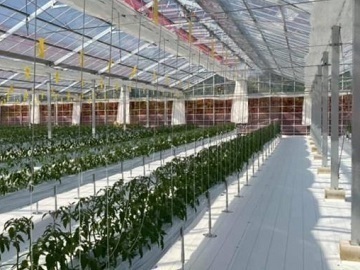 Universal Agriculture Support 合同会社(神奈川県横浜市)-2