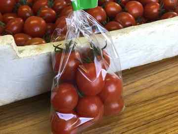 Universal Agriculture Support 合同会社(神奈川県横浜市)-4