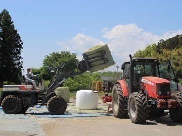 小針牧場(こばり)-3