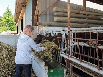 小針牧場(こばり)-5