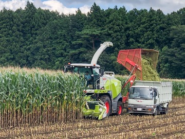 小針牧場(こばり)-8
