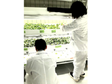 アクセンチュア株式会社【IBUKI海老名農園】-3