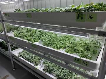 アクセンチュア株式会社【IBUKI海老名農園】-5