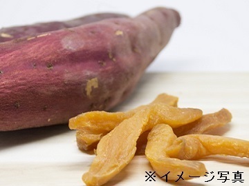 茨城県鉾田市×露地野菜/個人【38134】-2