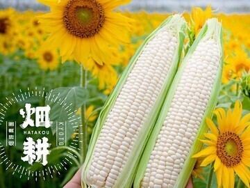 株式会社畑耕農園-5