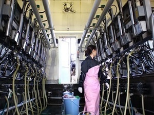 北海道豊頃町×酪農/個人【3988】-top