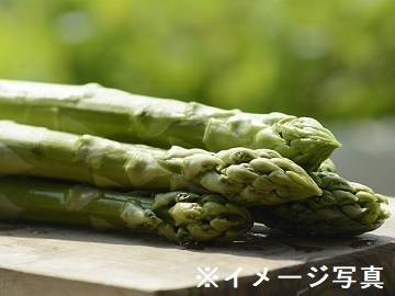 栃木県宇都宮市×施設野菜/法人【38261】-2