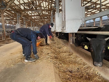 石原畜産有限会社-4