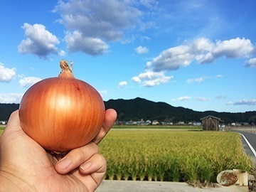 有限会社東中青果-2