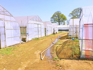 エコファーム・三須【パートスタッフ】-6