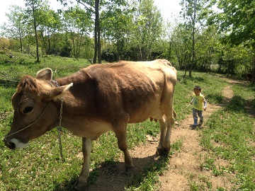 合同会社三良坂フロマージュ-5