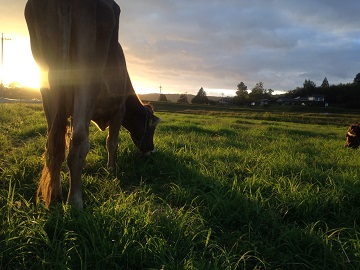 合同会社三良坂フロマージュ-6