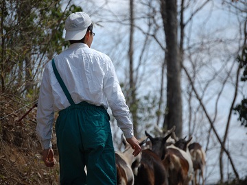 合同会社三良坂フロマージュ-7