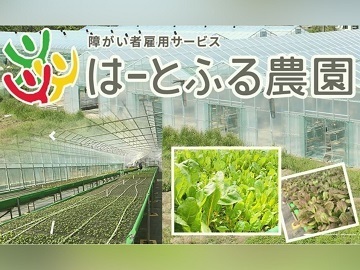日建リース工業株式会社(はーとふる農園)