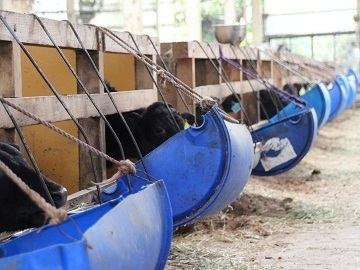 株式会社神戸ETセンター　いしど高原牧場-3