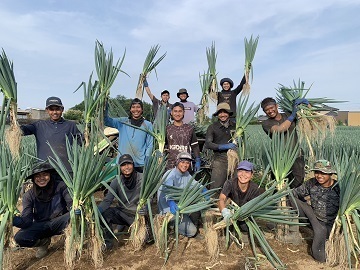 農業生産法人 有限会社菅井ファーム-4