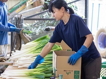 農業生産法人 有限会社菅井ファーム-5