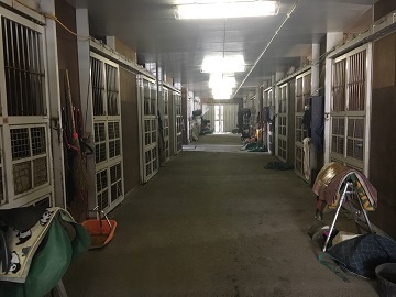 森澤友貴厩舎-1