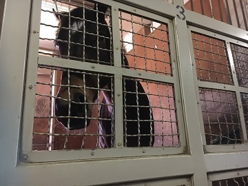 森澤友貴厩舎-2