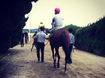 森澤友貴厩舎-4