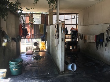 森澤友貴厩舎-5