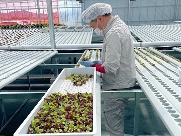 AmHydro Pacific株式会社-2