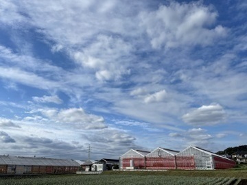 野菜苗の落合-8