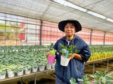 野菜苗の落合-7