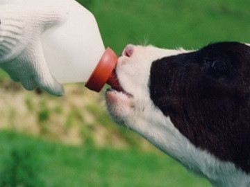 MFフィード株式会社【営業職】-1