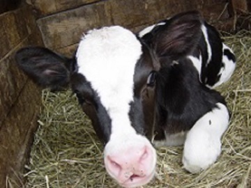 MFフィード株式会社【営業職】-2