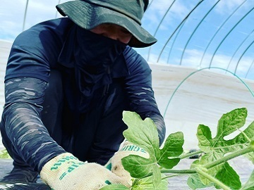 とみおか農園【パート】-3