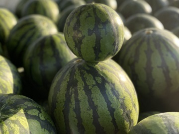 とみおか農園【パート】-1