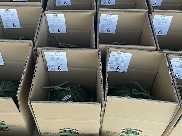 とみおか農園【パート】-7