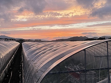 とみおか農園【パート】-5