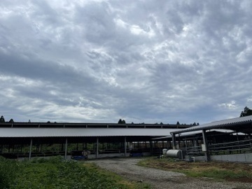 有限会社弁天牧場-8