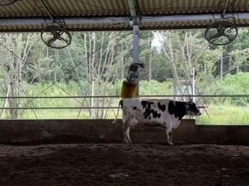 有限会社弁天牧場-5