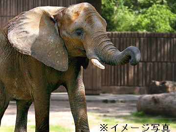 有限会社クローバーリーフ-1